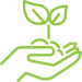 plant tree icon